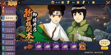 忍者副本爆料大全最新版,最新版深度解析，揭秘神秘副本攻略  第3张